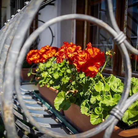 Ferienwohnung Zypresse Merano Kültér fotó